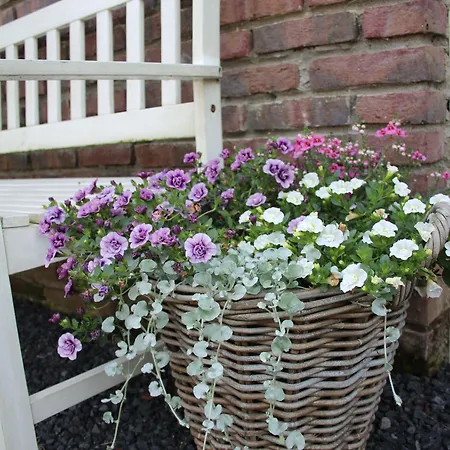 לינה וארוחת בוקר Slapen & Smullen