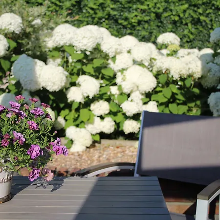 Slapen & Smullen לינה וארוחת בוקר Swalmen