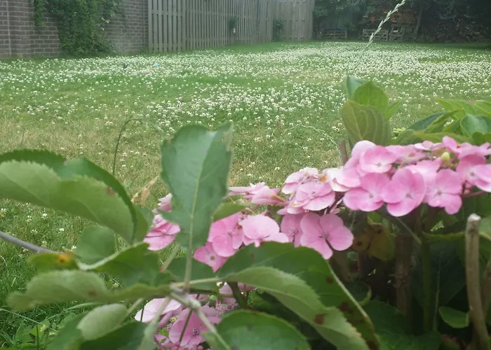 Bed & Breakfast Slapen & Smullen 3*