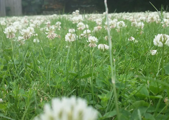 Slapen & Smullen Bed & Breakfast Swalmen