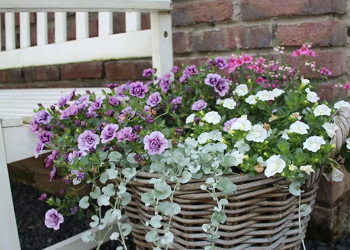 فندق مبيت وإفطار Slapen & Smullen