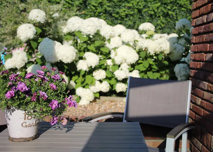 Slapen & Smullen فندق مبيت وإفطار Swalmen